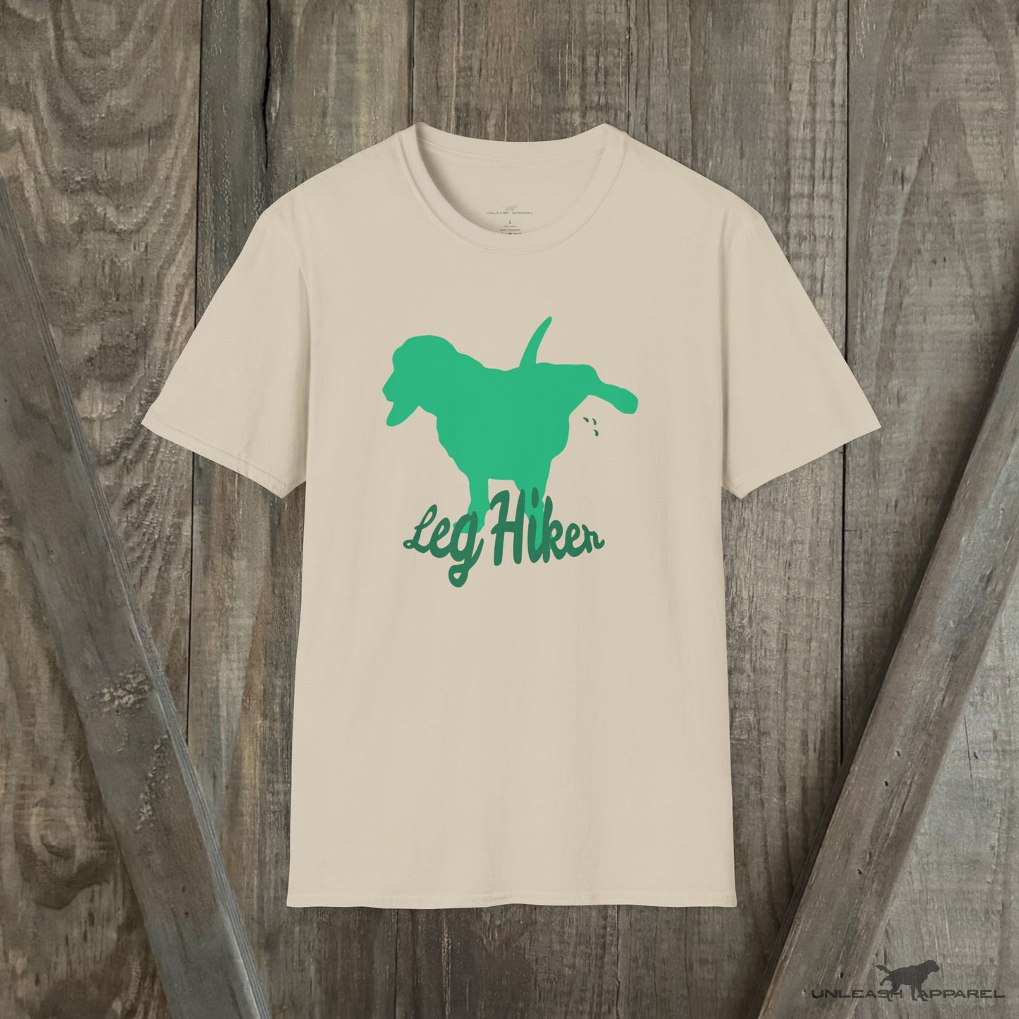 Dachshund 01LH